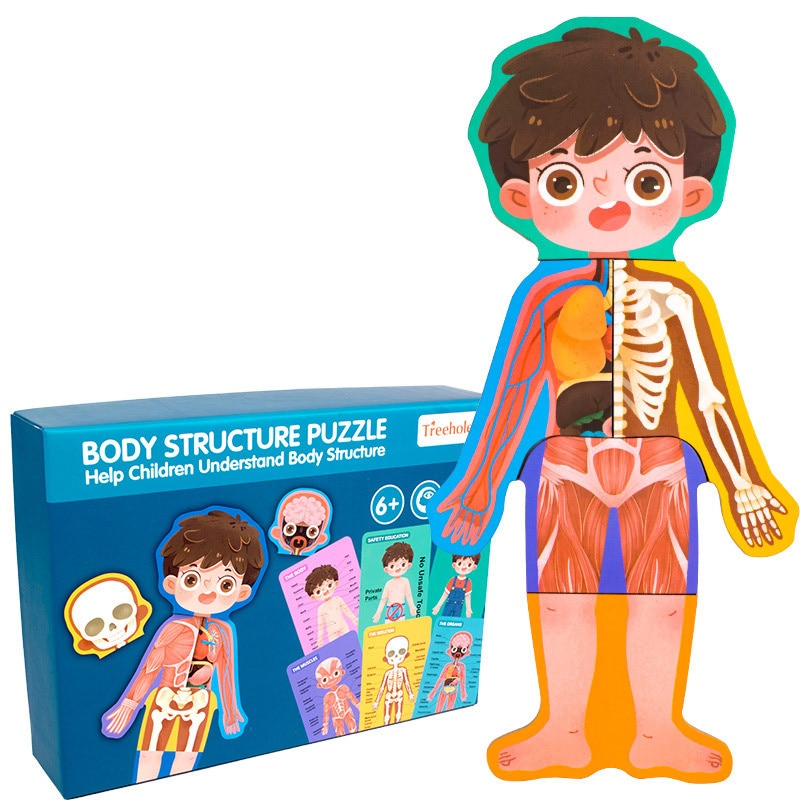 Anatomy Puzzle Educational Puzzle