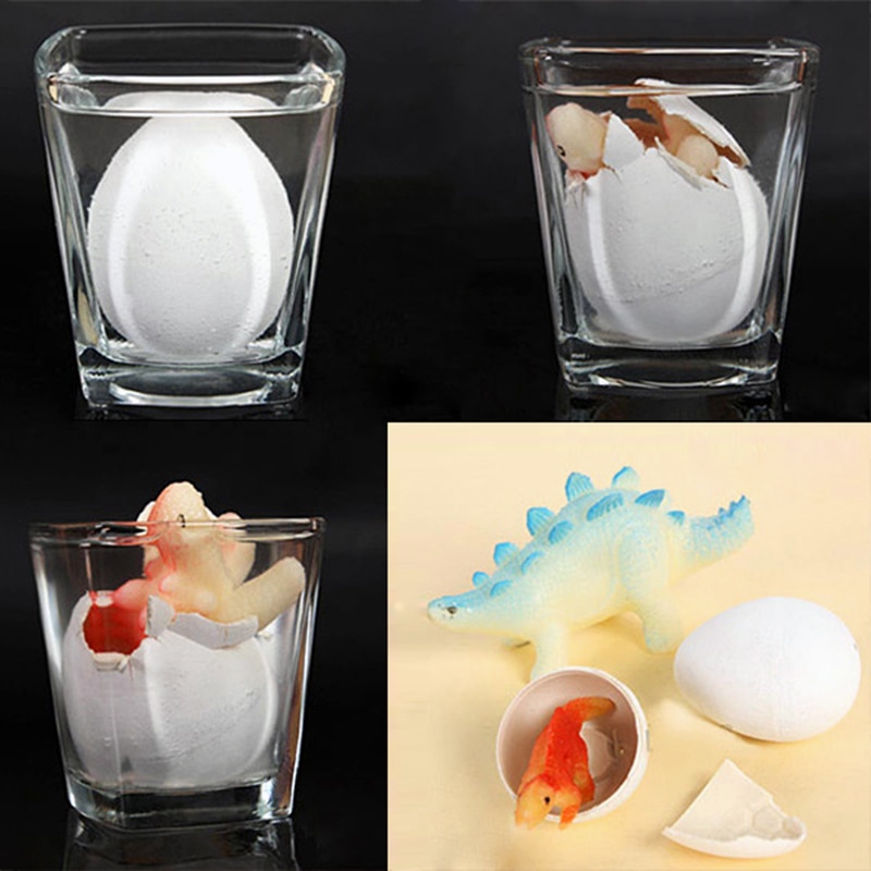 Water Hatching Dinosaur Egg Toy (Set of 6)