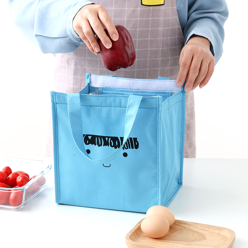 Kids Insulated Lunch Bag Thermal Pouch