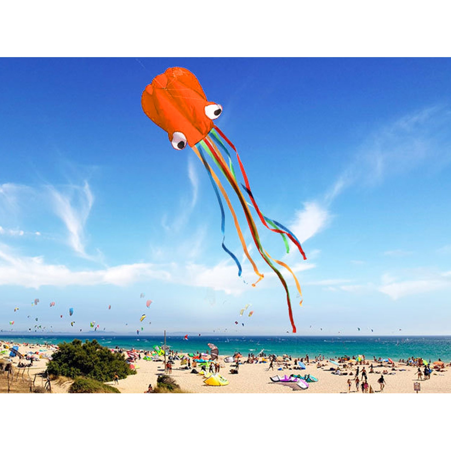 Octopus Kite Kids Outdoor Toy