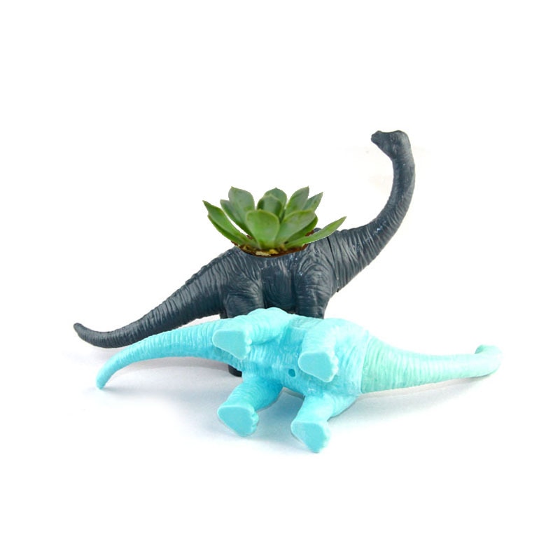 Plastic Pots Dinosaur Design