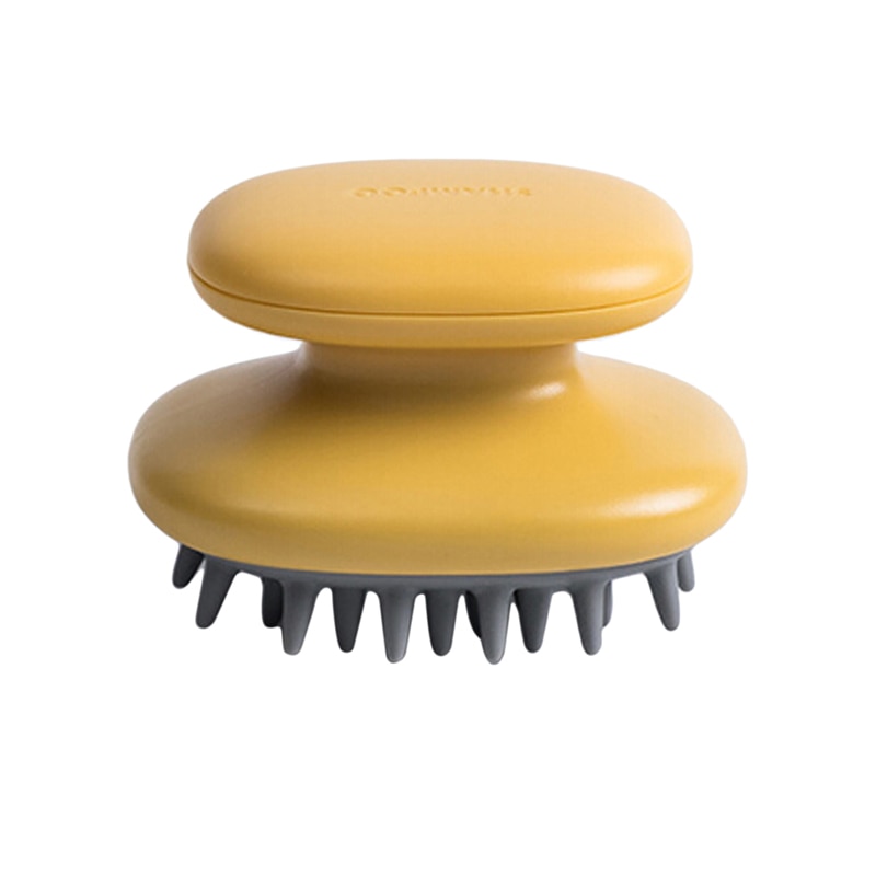 Head Massage Comb Hair Brush