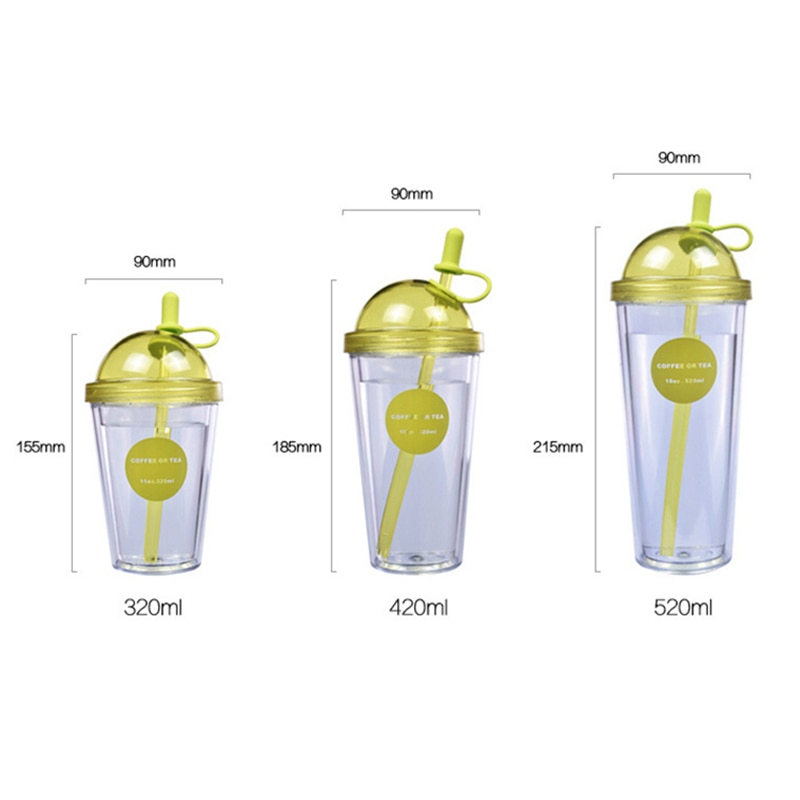 Double Layer Tumbler Cup with Straw