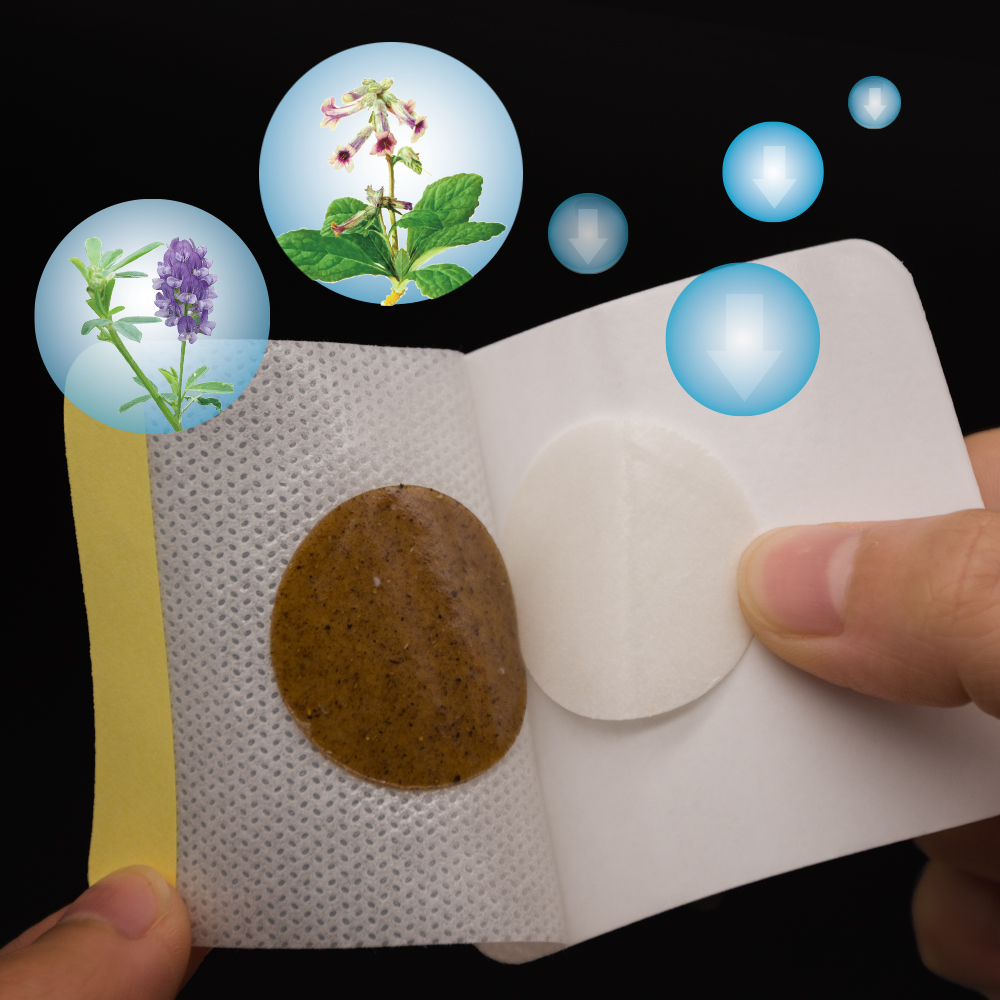 Diabetic Patch Herbal Blood Sugar Control (30 PCS)