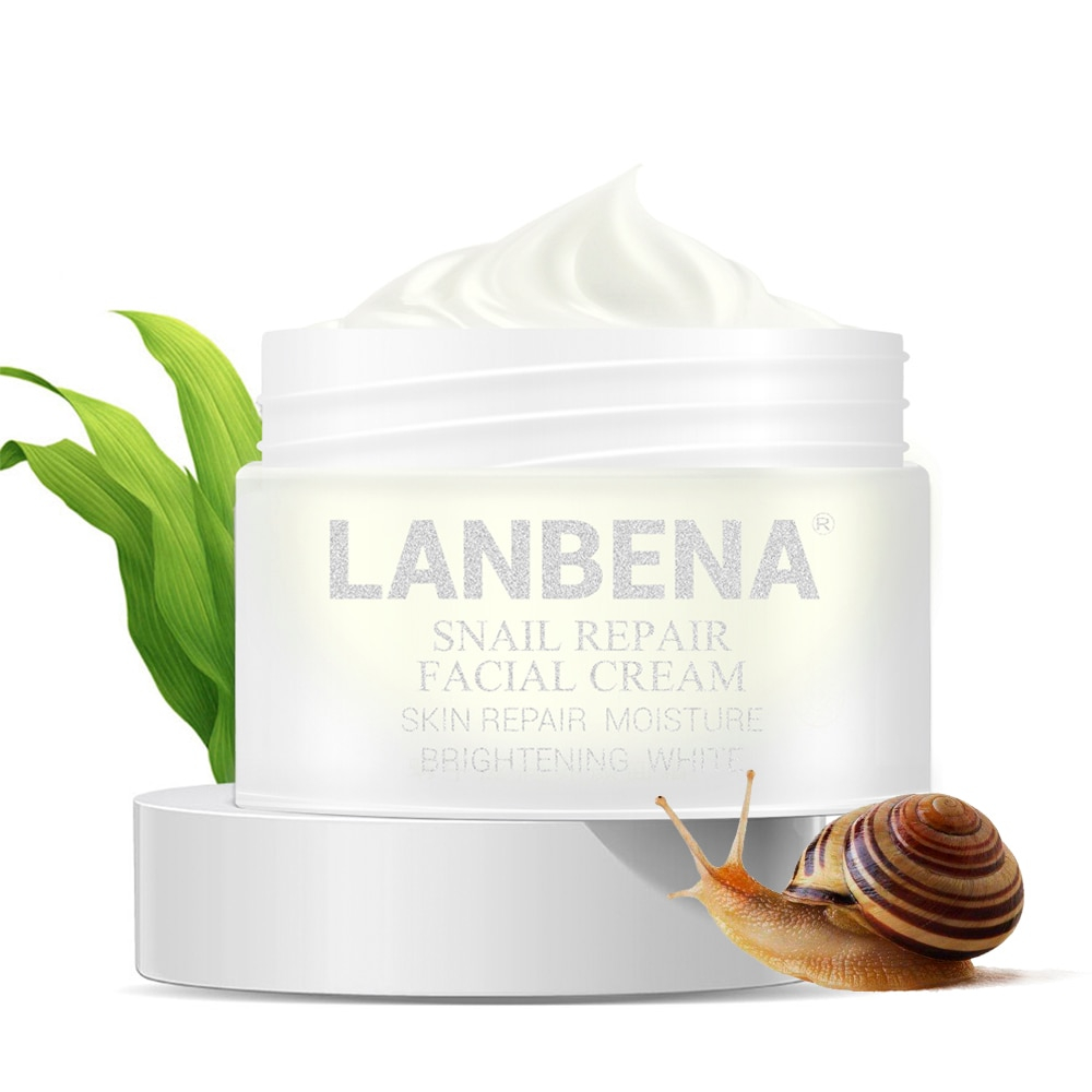 Snail Face Cream Anti-Aging Skincare