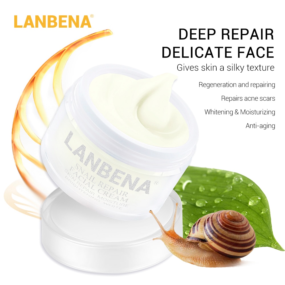 Snail Face Cream Anti-Aging Skincare