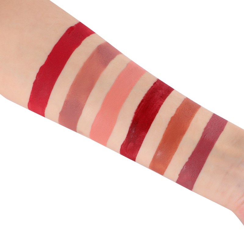 Liquid Lipstick Professional Makeup (6 pieces)