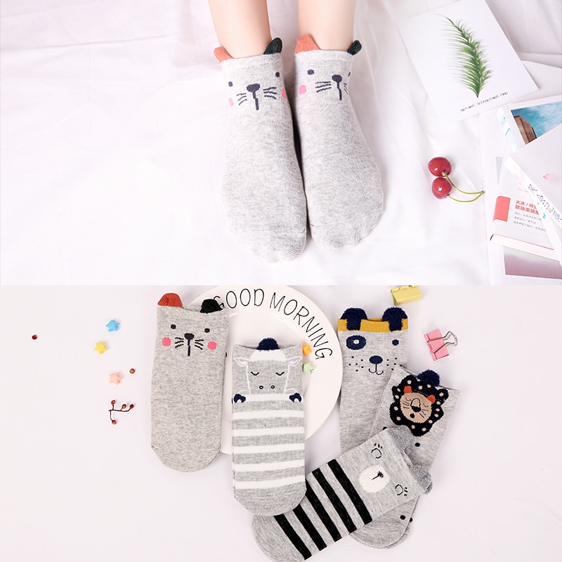 Ladies Socks Cute Footwear (5 Pairs)