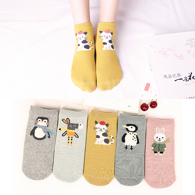 Ladies Socks Cute Footwear (5 Pairs)