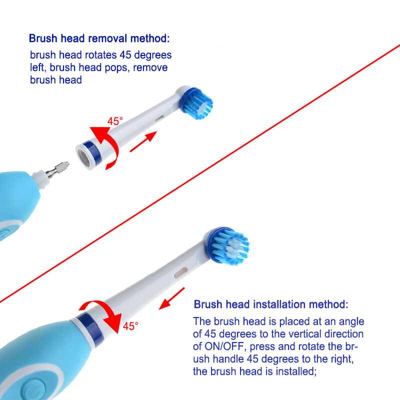 Electric Brush Battery Operated Toothbrush