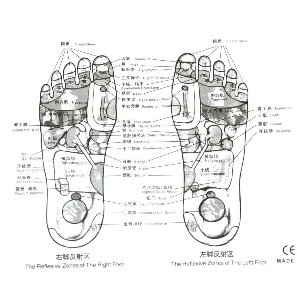 Foot Reflexology Acupressure Mat