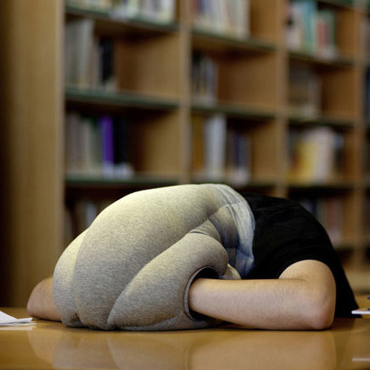Ostrich Head and Neck Support Pillow