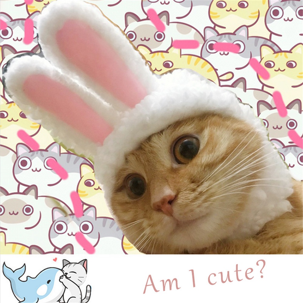 Cat Bunny Hat Easter Rabbit Ears Costume