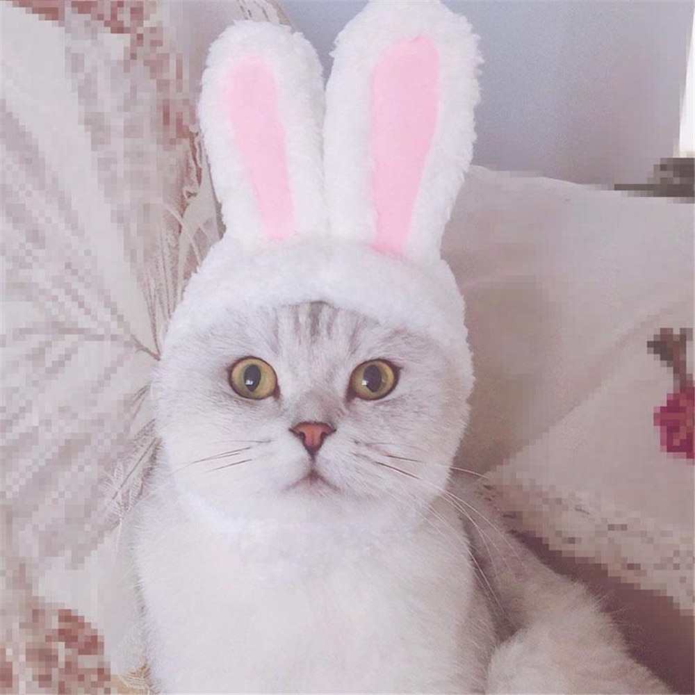 Cat Bunny Hat Easter Rabbit Ears Costume
