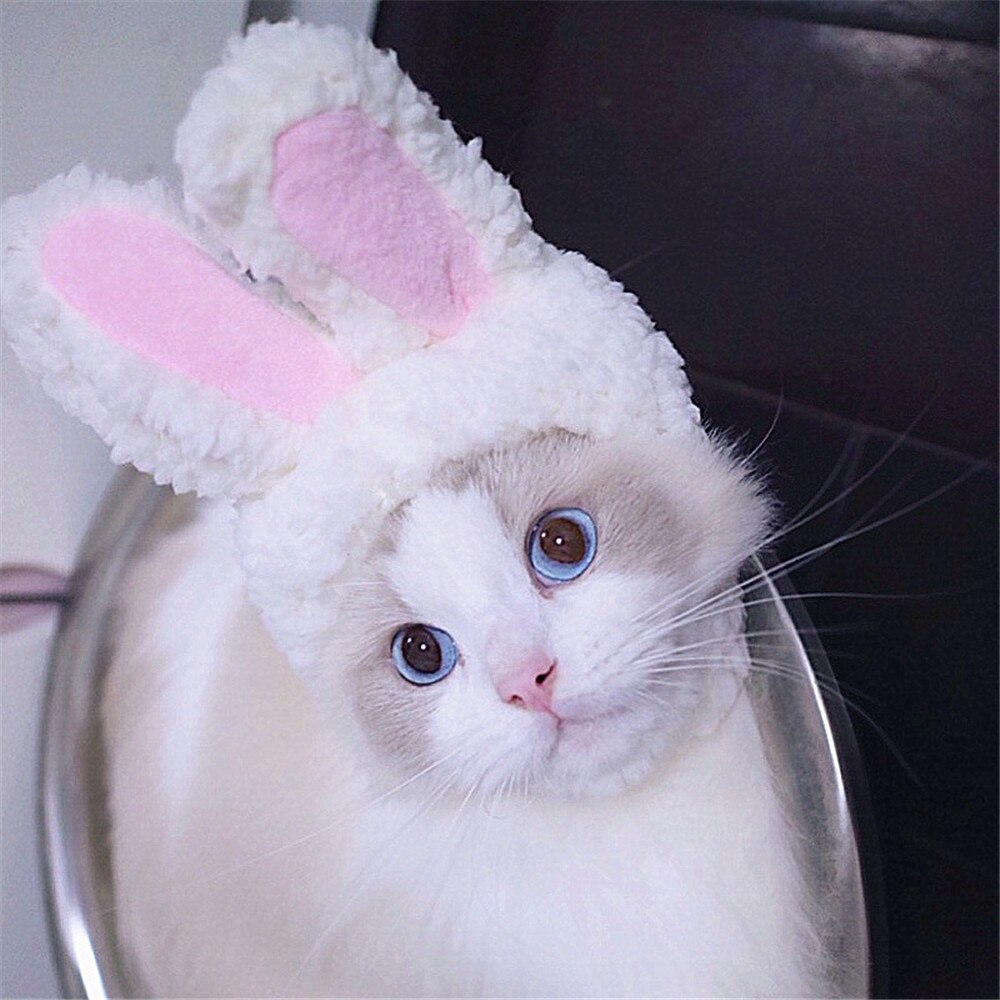 Cat Bunny Hat Easter Rabbit Ears Costume