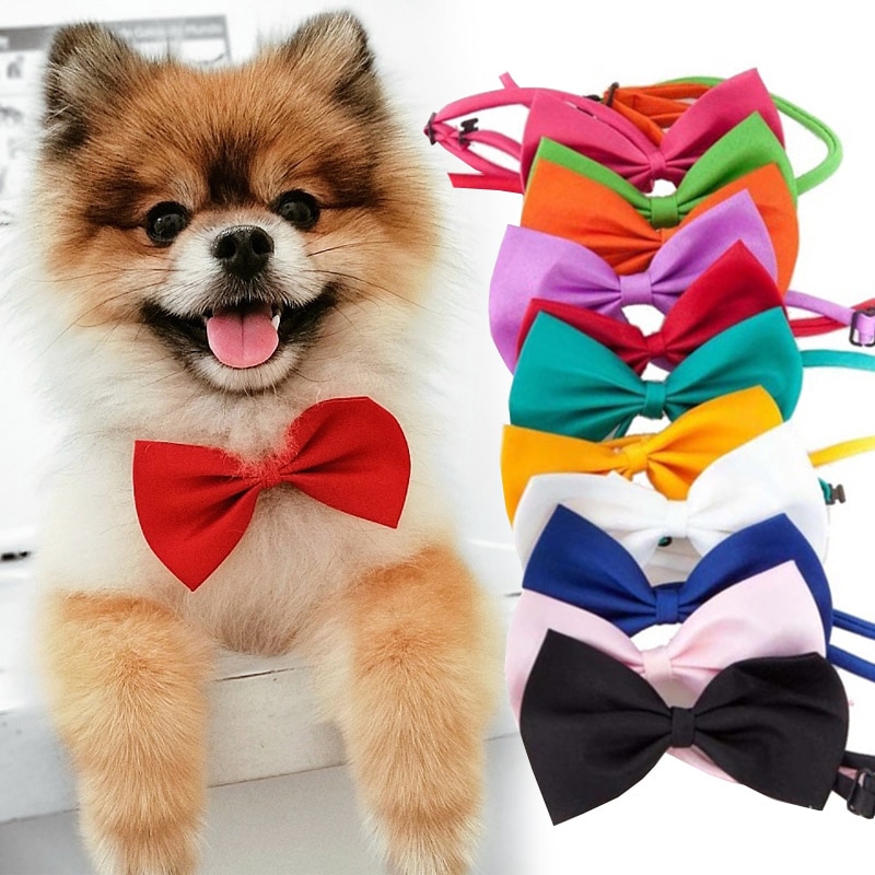 Dog Bowtie Pet Accessory