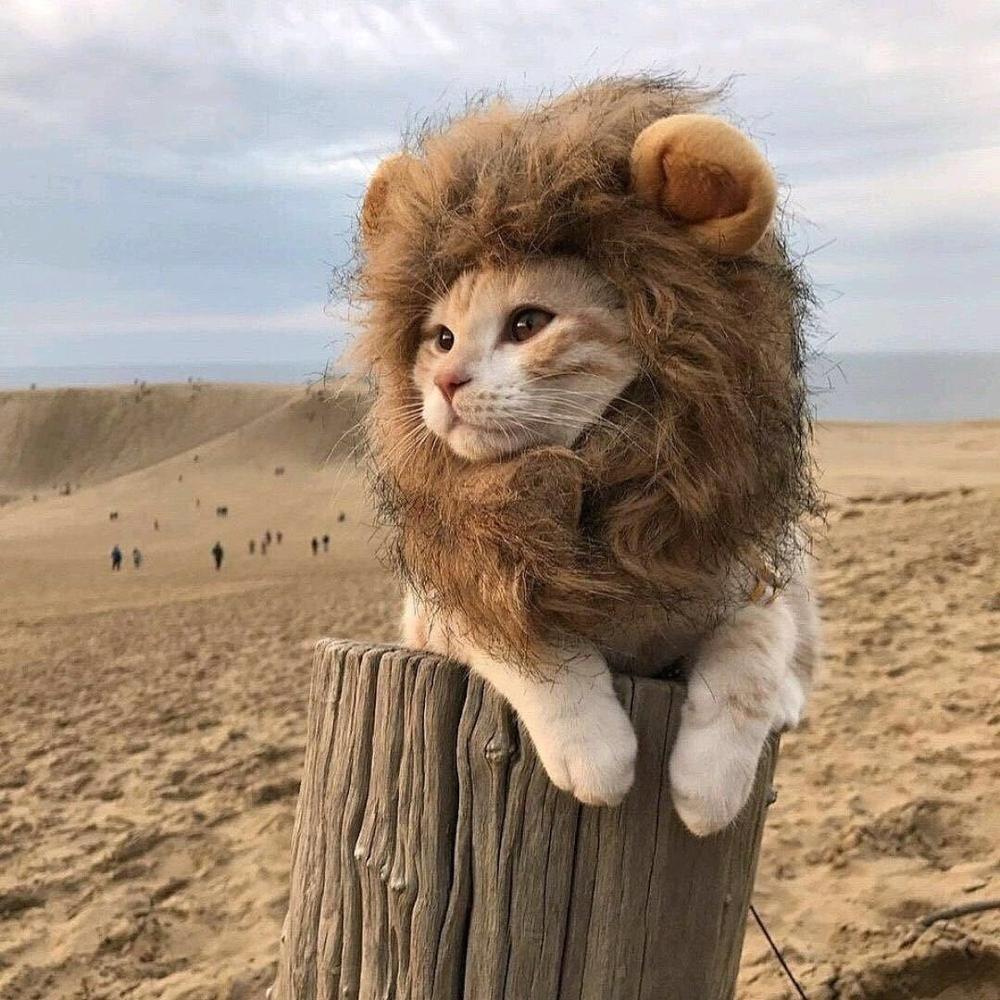 Pet Head Cap Lion Costume For Cats