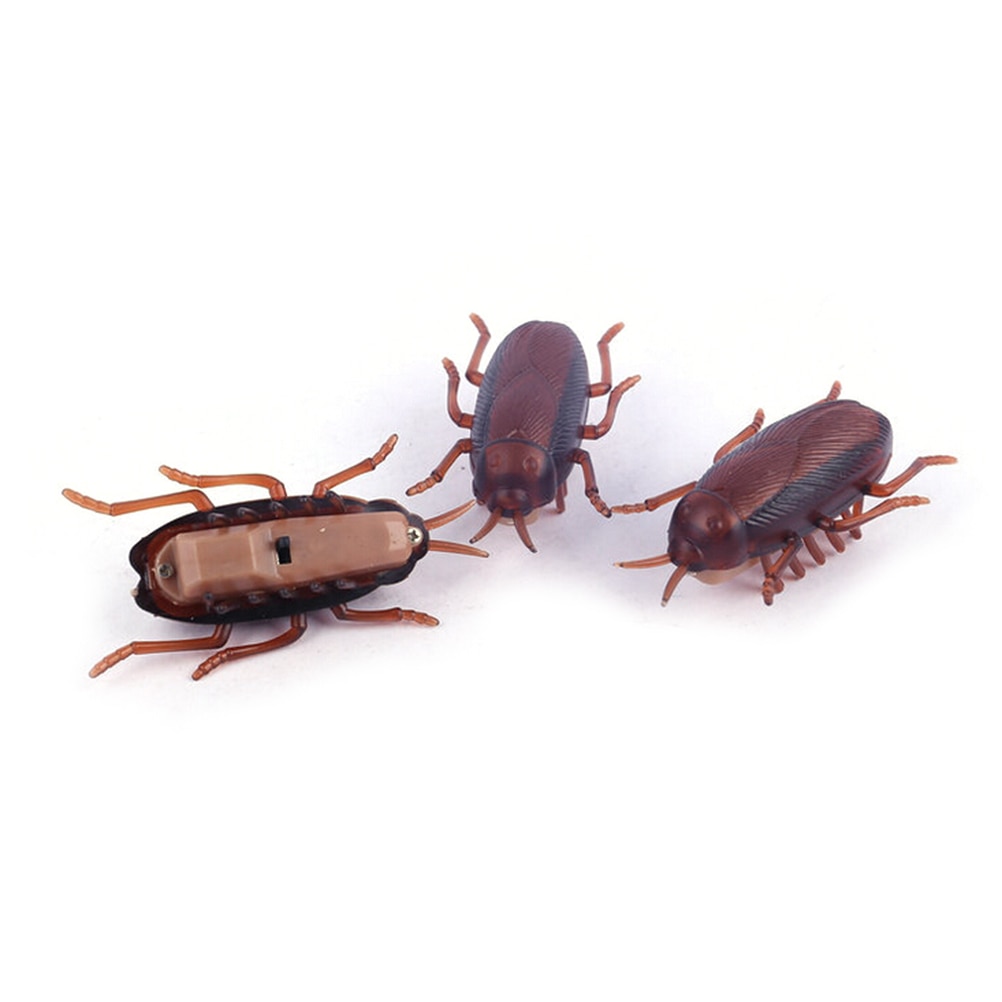 Cockroach Toy Battery-Operated Running Roach