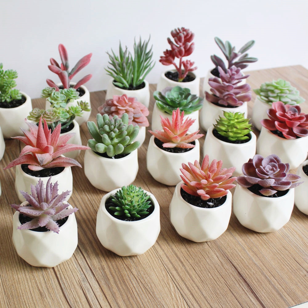 Mini Fake Plants Artificial Succulents