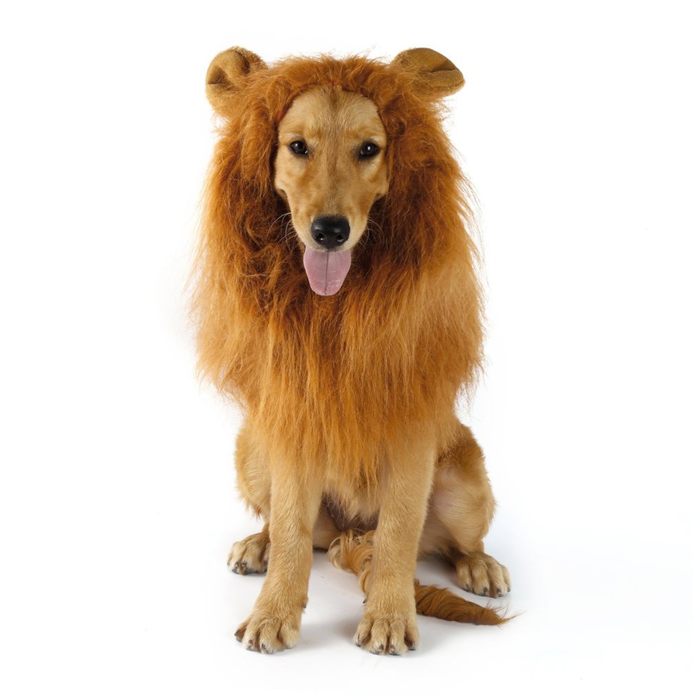 Dog Lion Mane Pet Wig Headwear