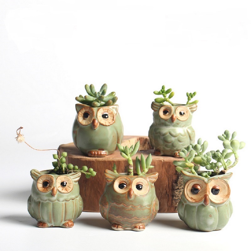 Cute Succulent Pots Owl Design (5 pcs)