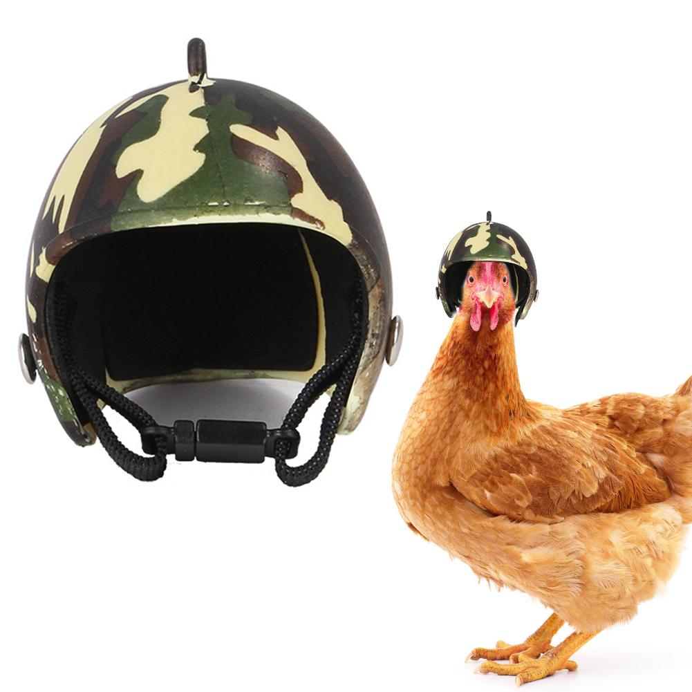 Chicken Helmet Head Protection Gear