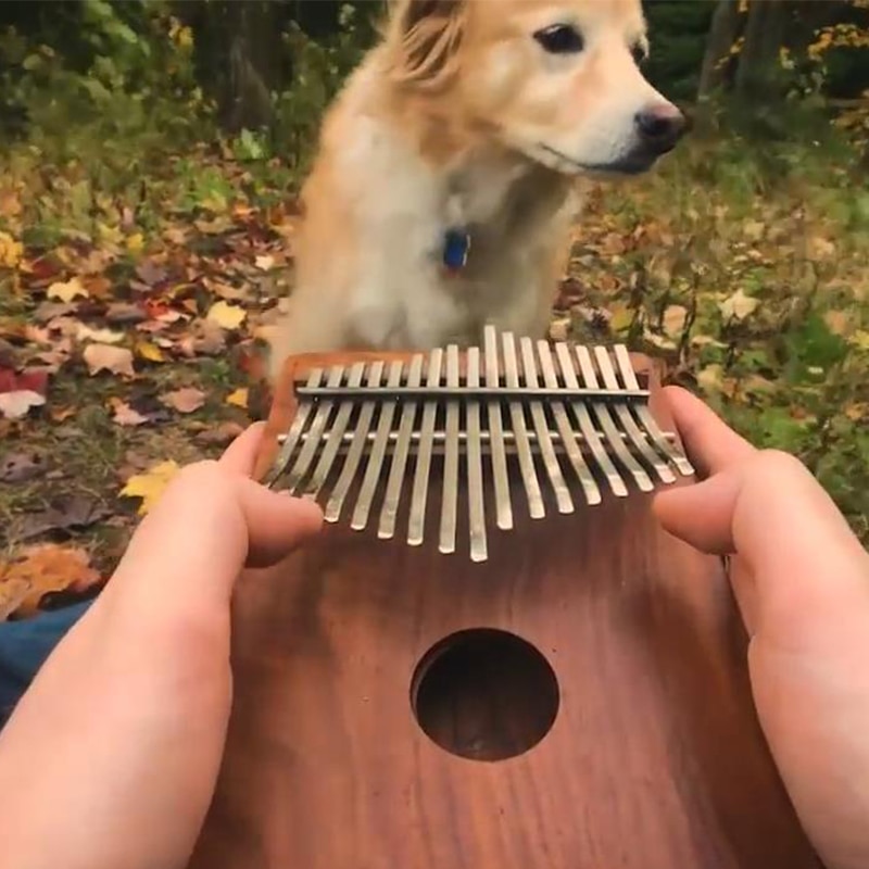 Kalimba Thumb Piano 17-Key Instrument