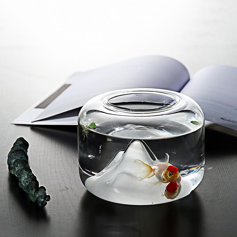 Goldfish Bowl with Mini Landscape