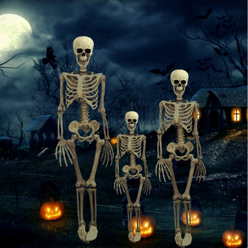 Horror Props Full Size Skeleton