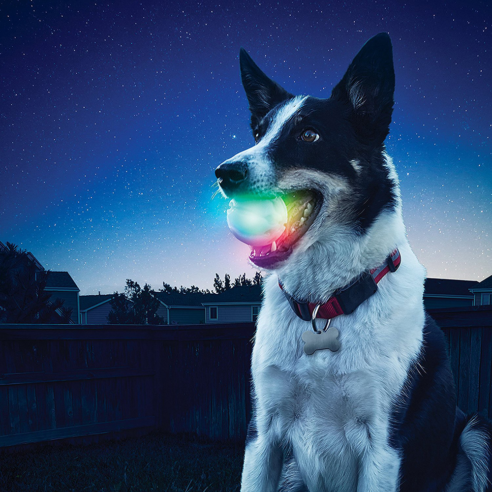 K9 Light Up LED Dog Ball