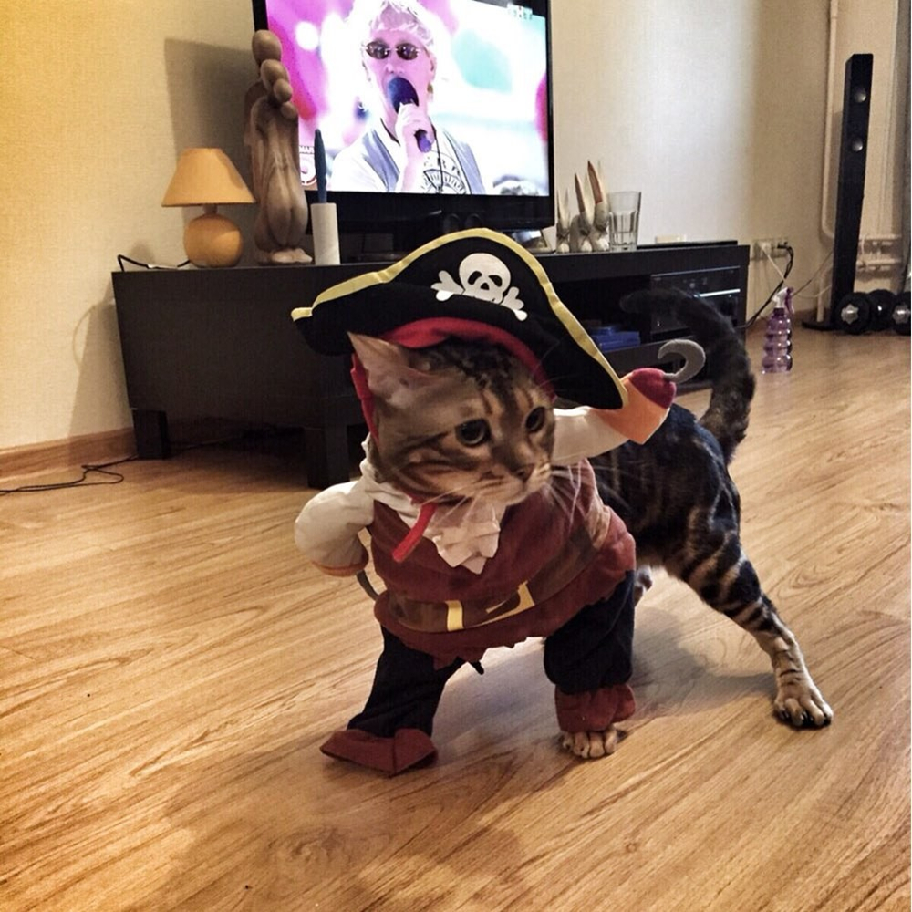 Pet Clothes-Jack Sparrow Costume