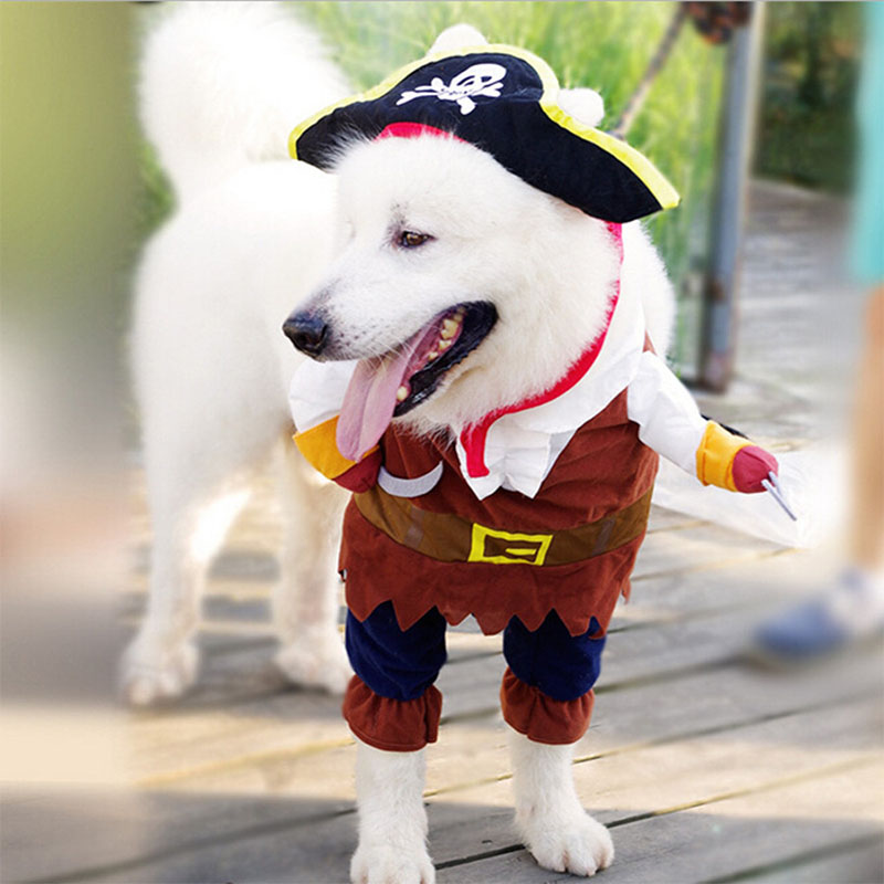 Pet Clothes-Jack Sparrow Costume