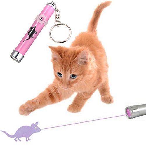 Laser Pointer Pen Cat Pet Toy Keychain