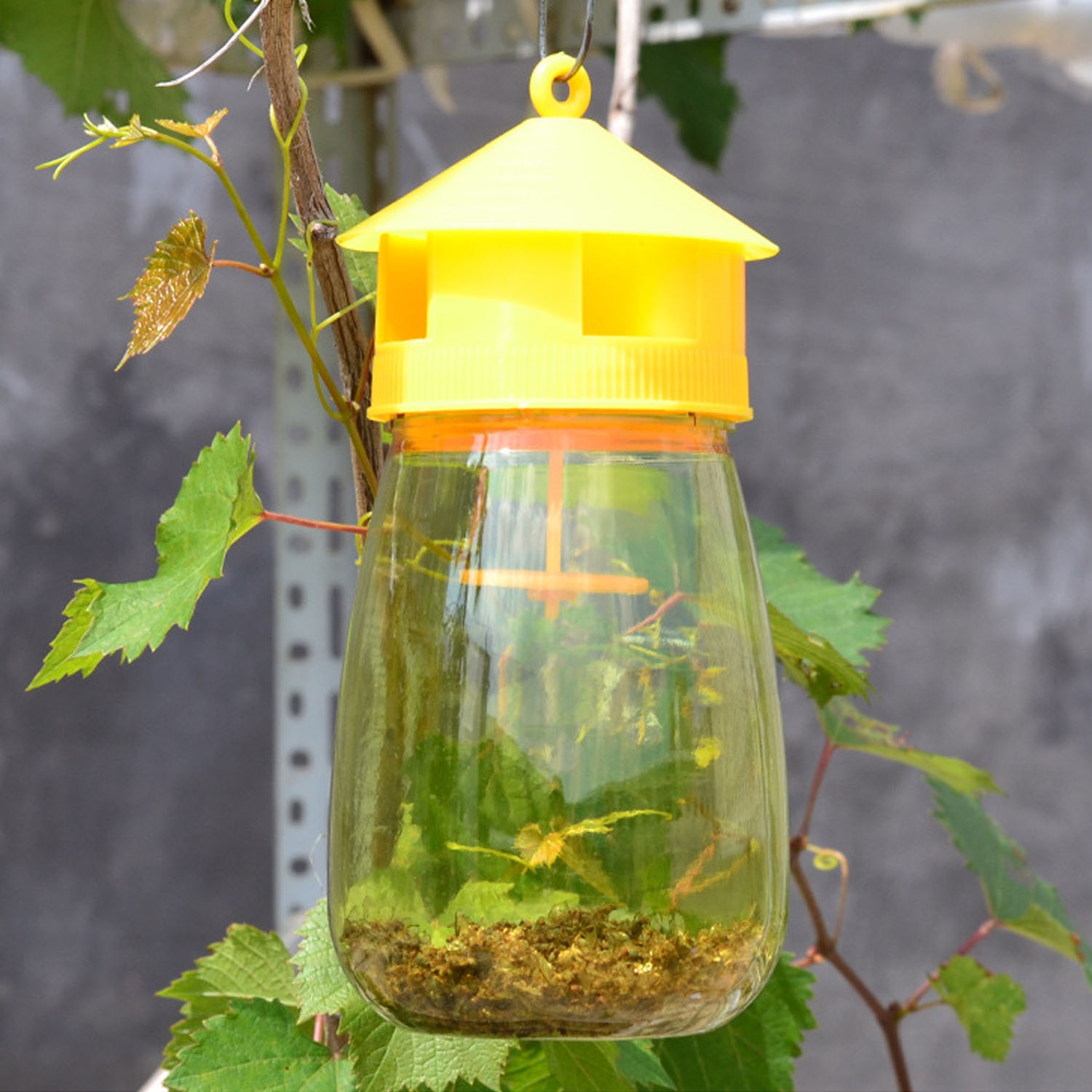 Hanging Plastic Bee and Wasp Trap