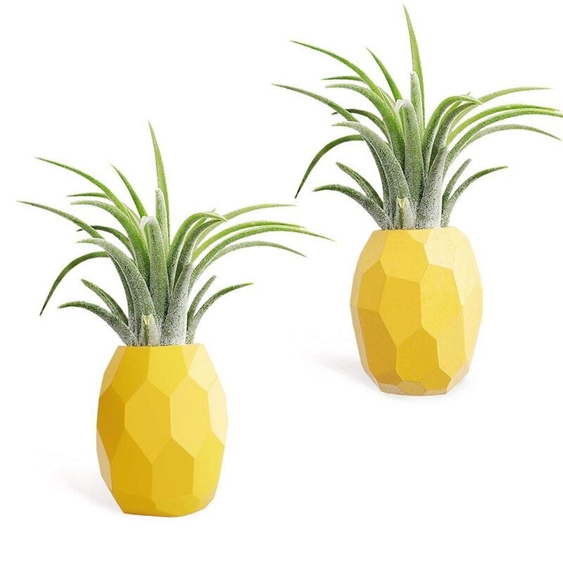 Pineapple Plant Pot