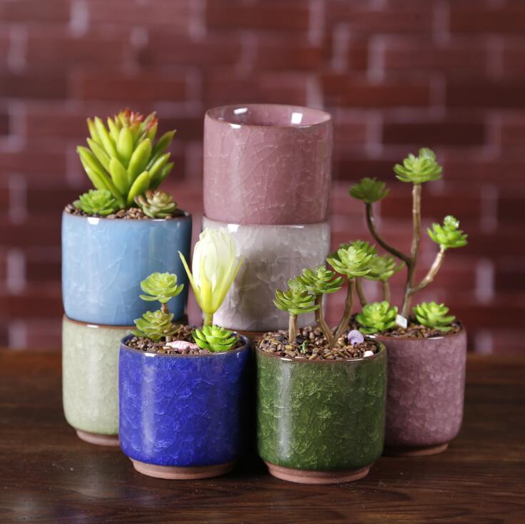 Mini Ceramic Pot for Succulents