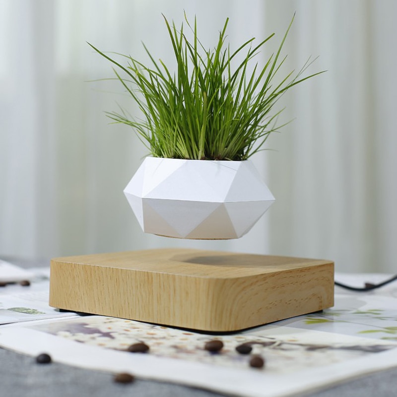 Floating Flower Pot Levitating Planter