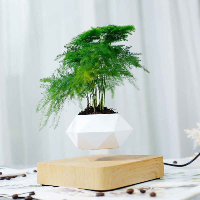 Floating Flower Pot Levitating Planter