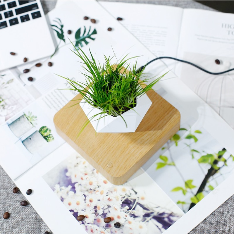 Floating Flower Pot Levitating Planter