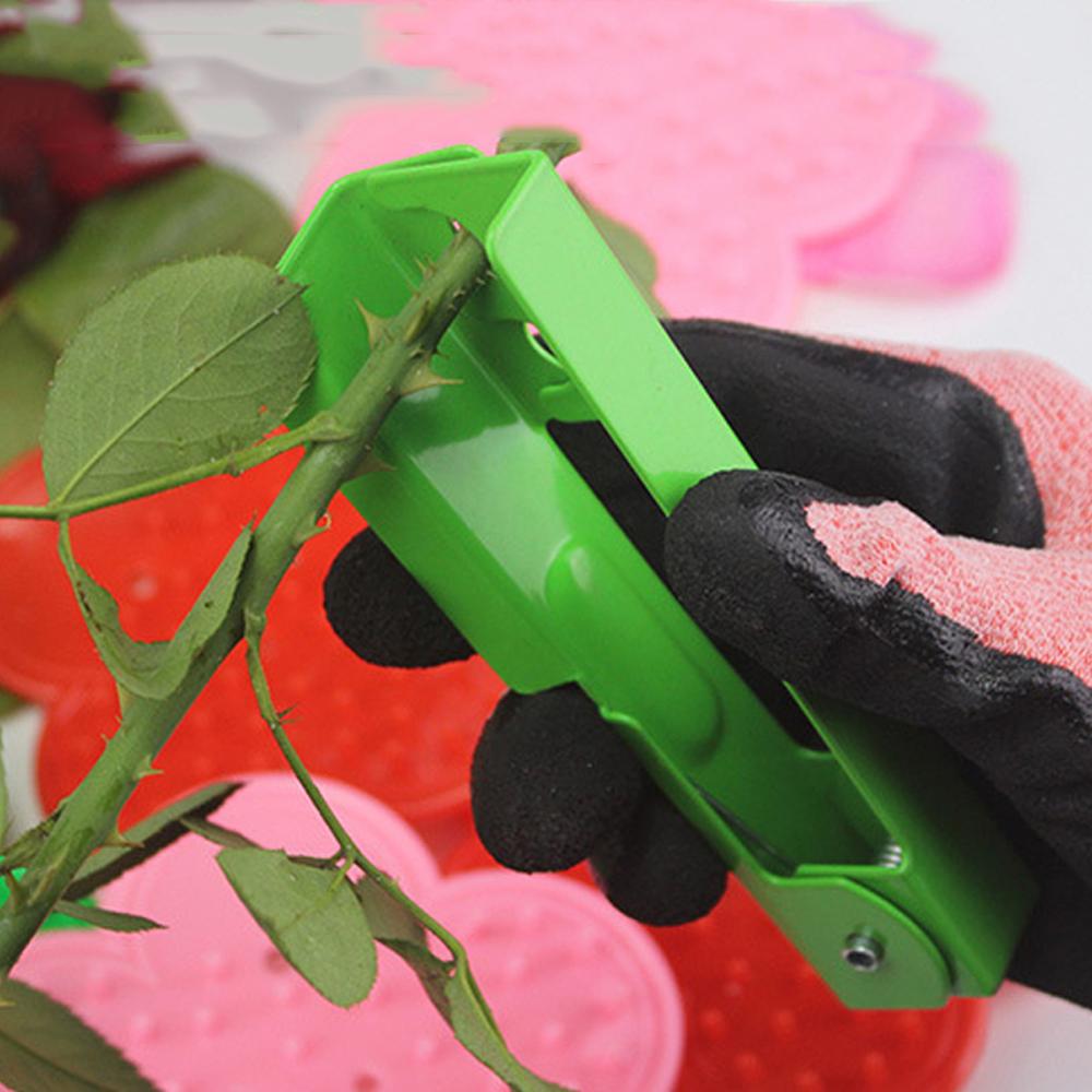 Rose Thorn Remover Gardening Tool