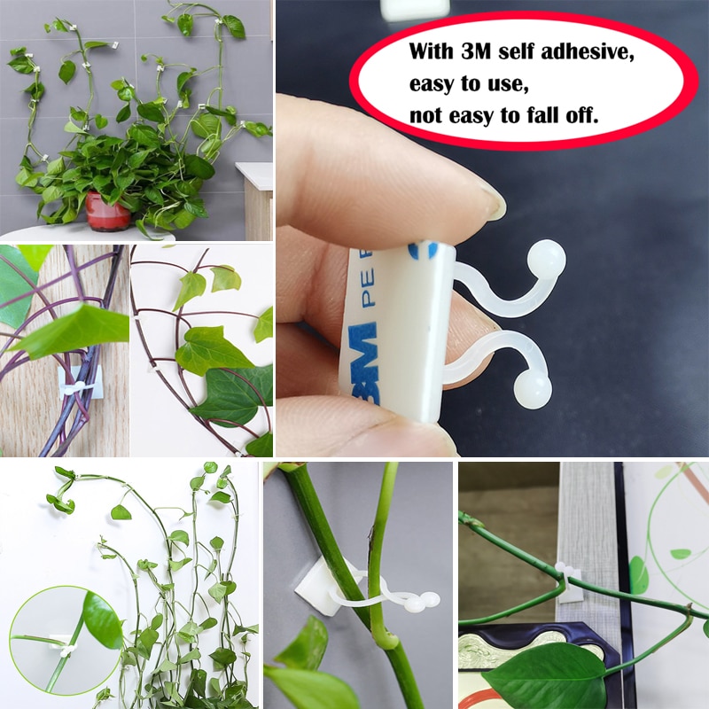 Vine Clips Self Adhesive Wall Hooks