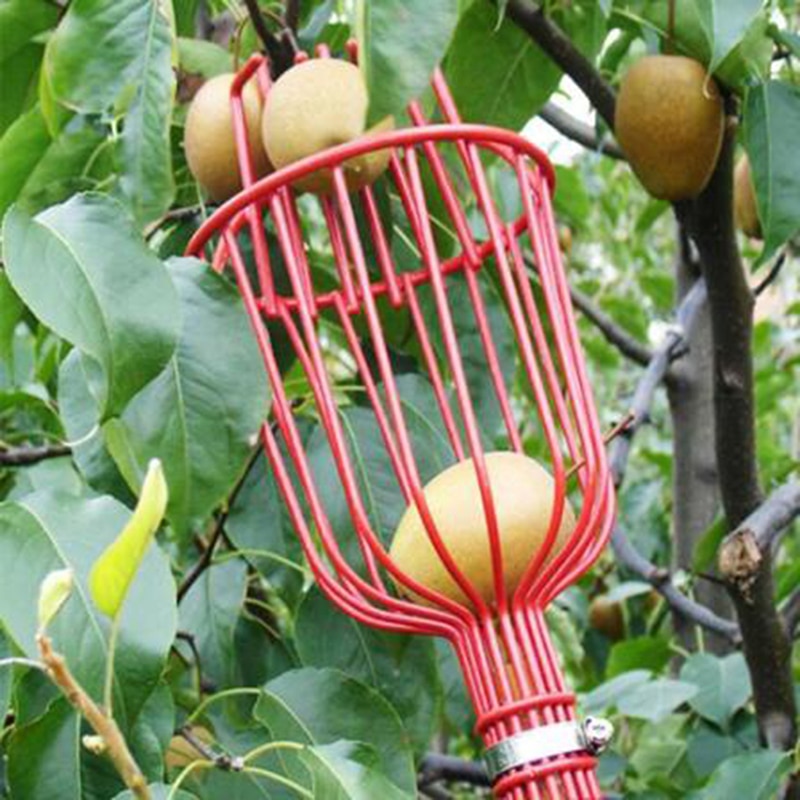 Fruit Basket Picker Tree Harvesting Tool
