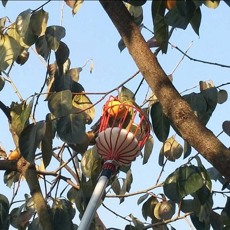 Fruit Basket Picker Tree Harvesting Tool