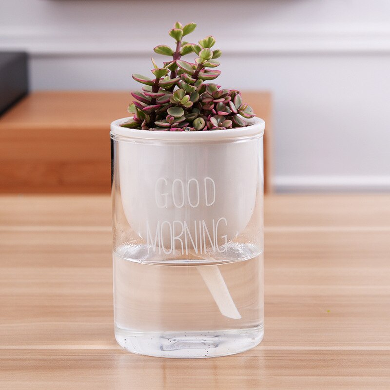 Ceramic Self Watering Pot