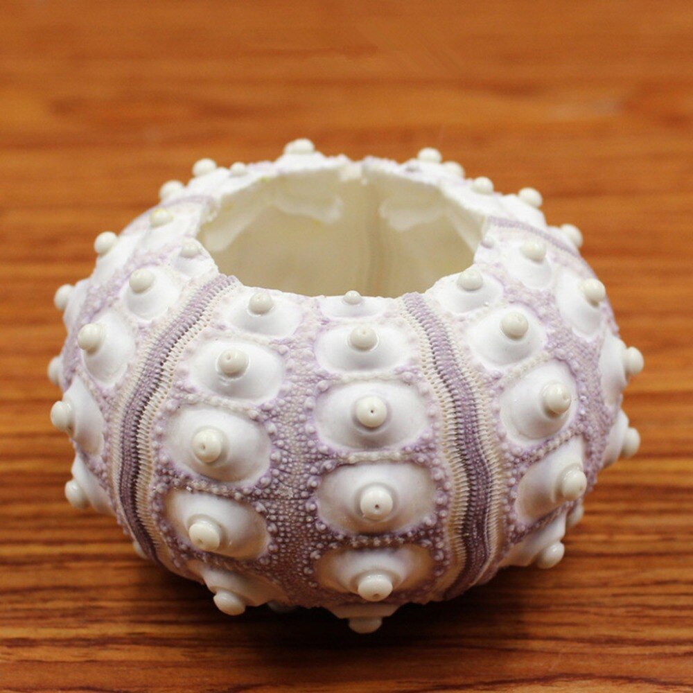 Sea Urchin Shell Air Plant Holder