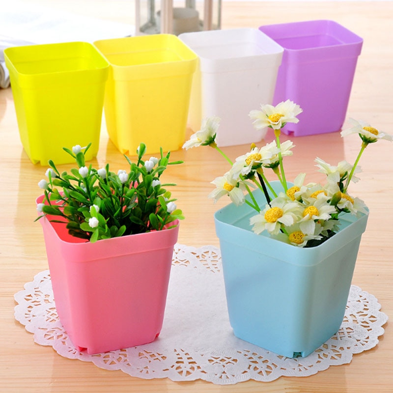 Plastic Mini Succulents Pots (10 Pcs)