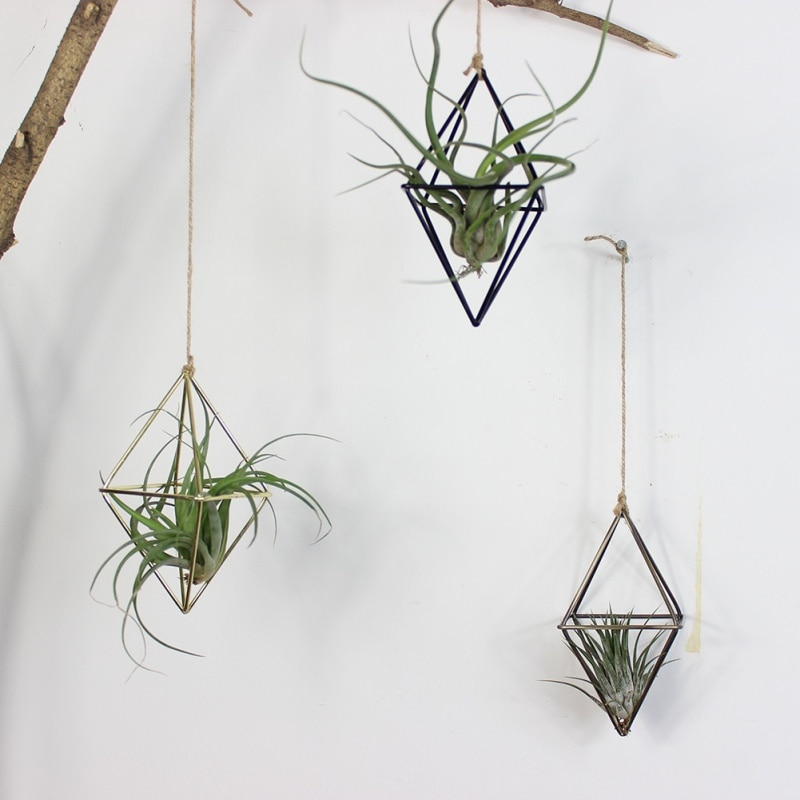 Hanging Air Plant Holder Iron Planter