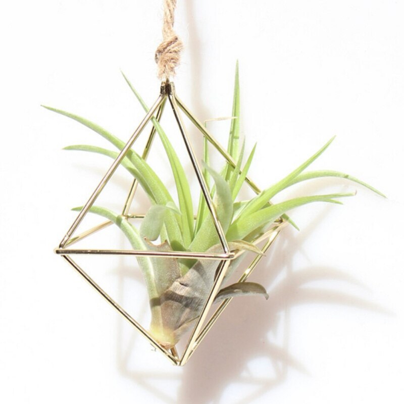 Hanging Air Plant Holder Iron Planter