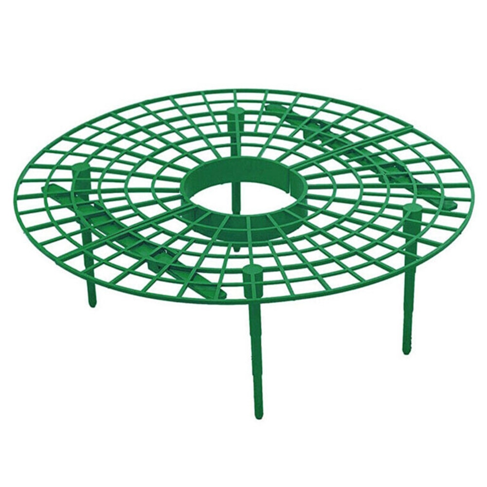 Strawberry Support Plastic Plant Frame
