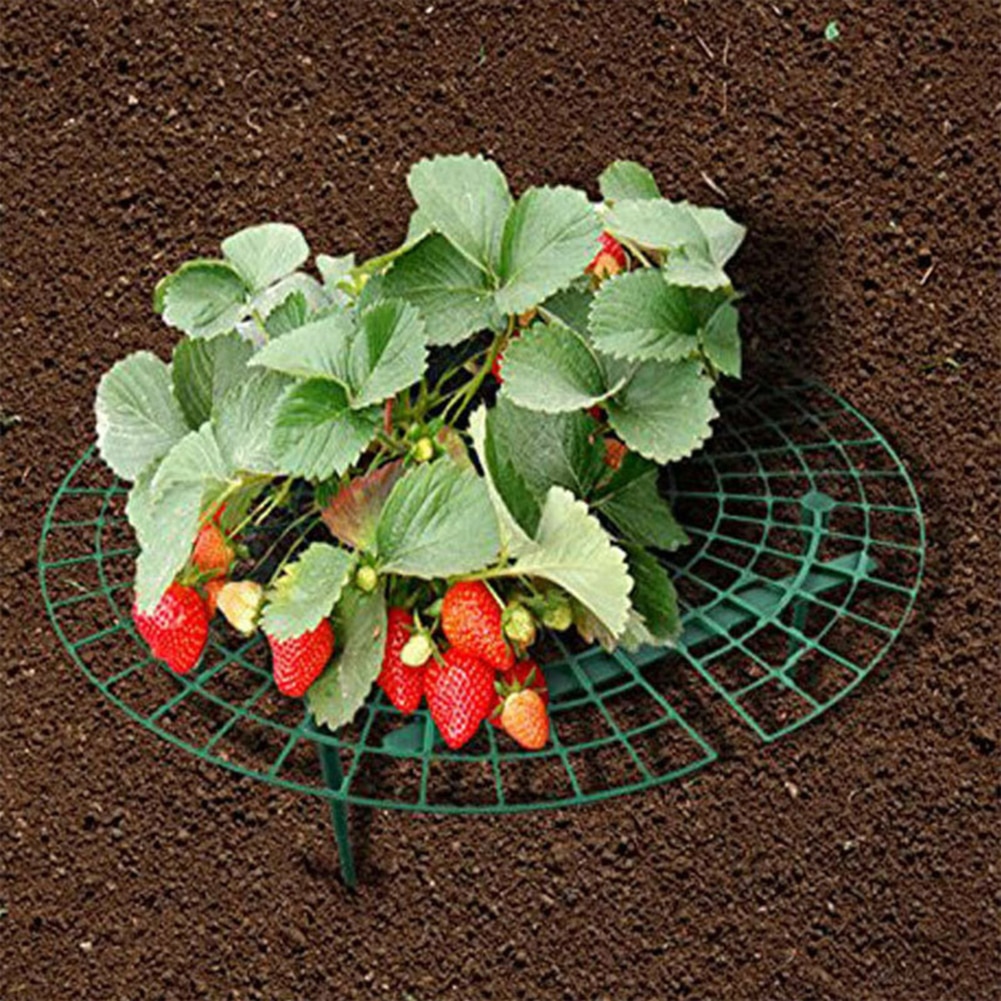 Strawberry Support Plastic Plant Frame